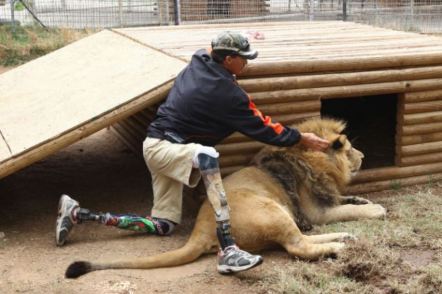 美動物園雄獅和小狗形影不離成好伙伴